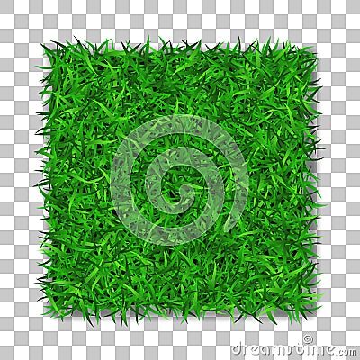 Grass square 3D. Beautiful green grassy field, isolated on white transparent background. Lawn abstract nature texture Vector Illustration