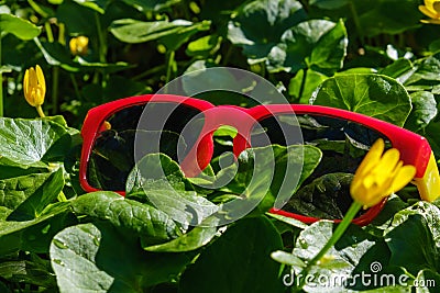 Grass sunglasses summer sun green. travel Stock Photo