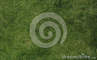 Grass texture of football Stock Photo