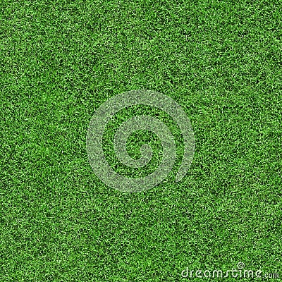 Grass Texture - Seamless Stock Photo