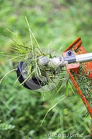 Grass trimmer head Stock Photo