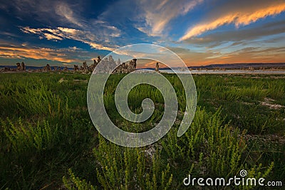 Grass and Tufas During Sunset Stock Photo