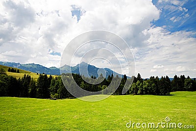 Grass valley in forest Stock Photo