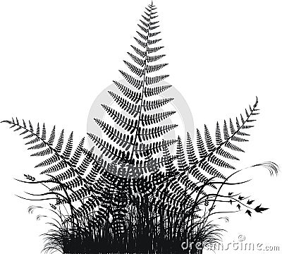 Grass vector silhouette with fern leaves Vector Illustration