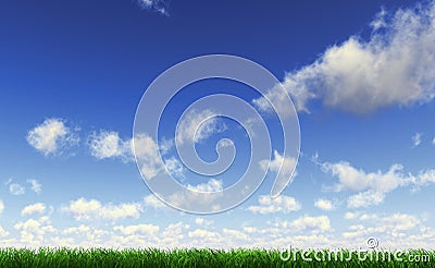 Grass viewed from a side at ground level. Stock Photo