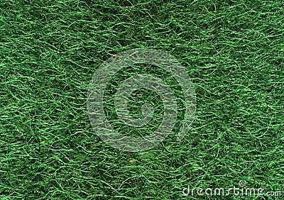 Grass on white background on the stone Stock Photo