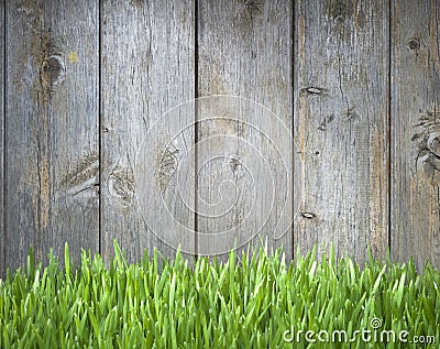 Grass Wood Fence Background Stock Photo
