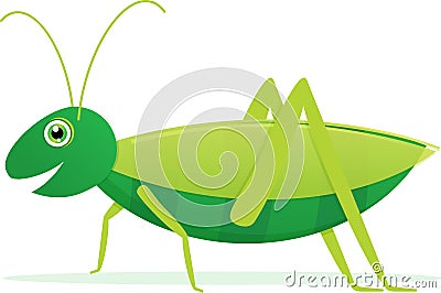 Grasshopper Vector Illustration