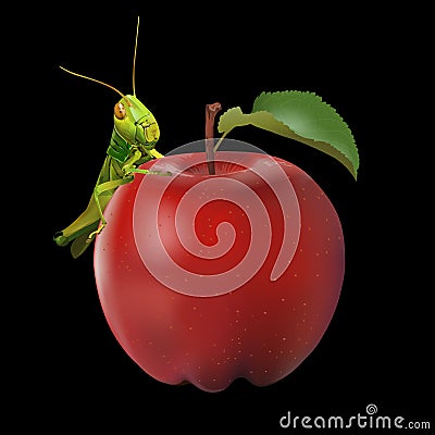 Grasshopper eating apple Vector Illustration