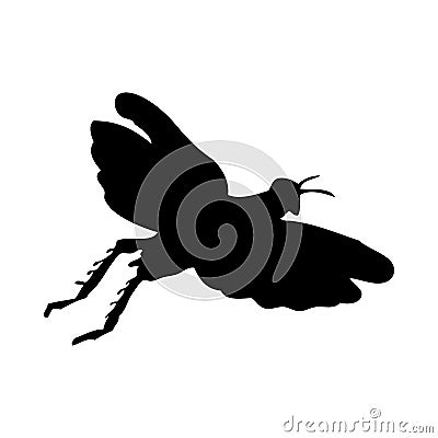 Grasshopper Silhouette Vector Illustration