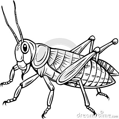 grasshopper line art, grasshopper vector, grasshopper illustration, grasshopper drawing AI generated Stock Photo