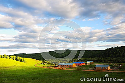 Grassland Stock Photo