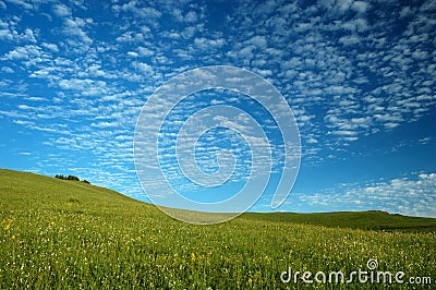 Grassland Stock Photo