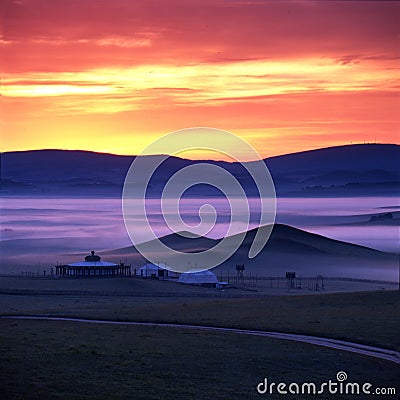 Grassland Stock Photo