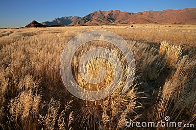 Grassland landscape, Namibia Stock Photo
