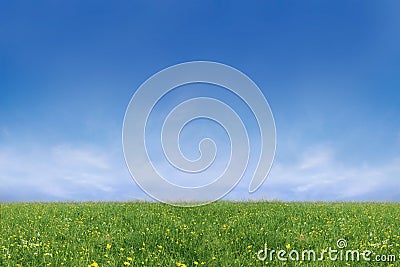 Grassland in spring time Stock Photo