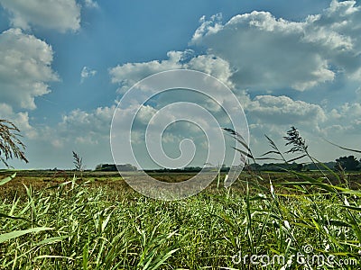 Grasslands and Flatlands of Norfolk England Stock Photo