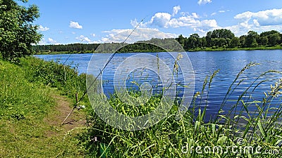 On the grassy bank of the river there is a place for fishing. Fishing poles are fitted with feeder rods with inertia-free reels. S Stock Photo