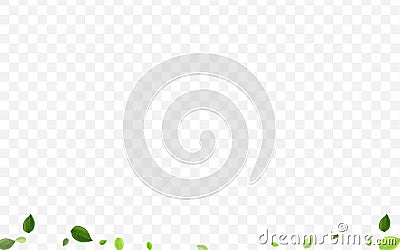 Grassy Foliage Vector Banner. Green Leaf Tree Vector Illustration