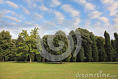 A grassy lawn and a dense forest Stock Photo