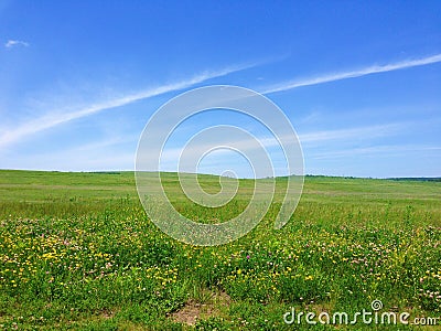 Grassy Meadow and blue sky Stock Photo