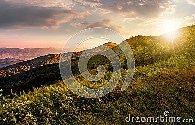 Grassy meadow on a hillside at gorgeous reddish sunset Stock Photo