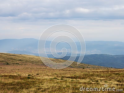 grassy meadow landscape of ukrainian mountains Stock Photo