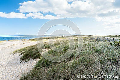 Grassy sand dunes backing a beach on a sunny autumn day Stock Photo