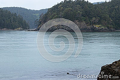 Grassy stone cliffs over the ocean with tall pine trees Stock Photo