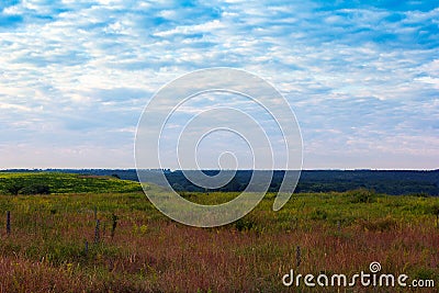 Grassy valley, trees and a cloudy blue sky Stock Photo