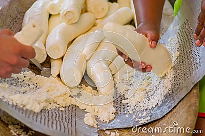 Grated yucca being prepared for bread in a Siona village in the Cuyabeno Wildlife Reserve, Ecuador Stock Photo