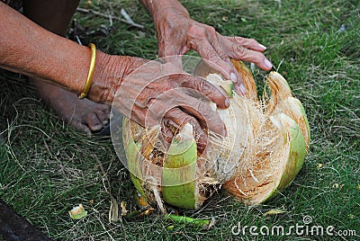 The grater and coconut Stock Photo