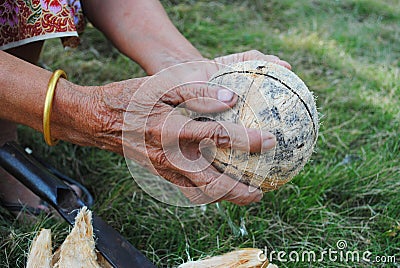 The grater and coconut Stock Photo