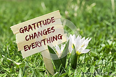 Gratitude changes everything Stock Photo