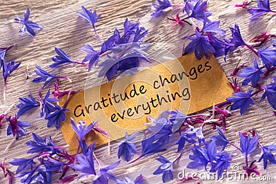 Gratitude changes everything Stock Photo