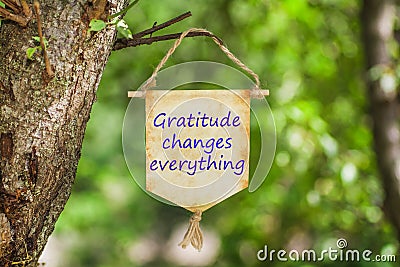 Gratitude changes everything on Paper Scroll Stock Photo