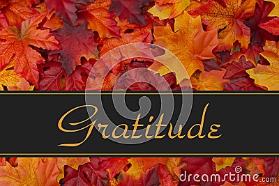 Gratitude Message Stock Photo