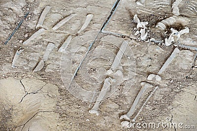 Grave burial site of people Stock Photo