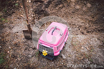 Grave of family`s beloved pet, a mound sand. Dreary depressive plot, small animal puppy is buried in the forest, pet carier and Stock Photo