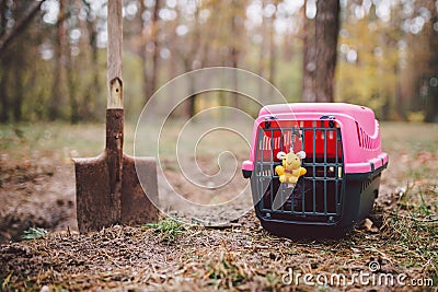 Grave of family`s beloved pet, a mound sand. Dreary depressive plot, small animal puppy is buried in the forest, pet carier and Stock Photo