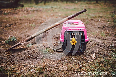 Grave of family`s beloved pet, a mound sand. Dreary depressive plot, small animal puppy is buried in the forest, pet carier and Stock Photo