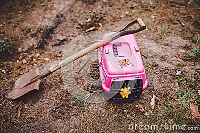 Grave of family`s beloved pet, a mound sand. Dreary depressive plot, small animal puppy is buried in the forest, pet carier and Stock Photo