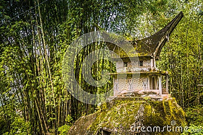 Grave in forest Stock Photo