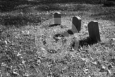 Grave Markers Stock Photo