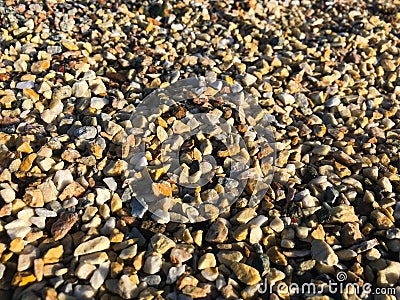 Gravel consisting of a large variety of multi-colored stones of very small size. Stock Photo