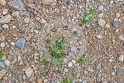 gravel dirt road texture with sand and pebbles Stock Photo