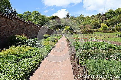 A gravel path runs alongside the unusual stepped effect of the wall of a kitchen garden at an English stately house near Tiverton Stock Photo