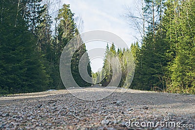 Gravel road in dense forest Stock Photo