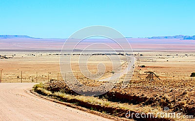 Gravel road through the golden dune Stock Photo