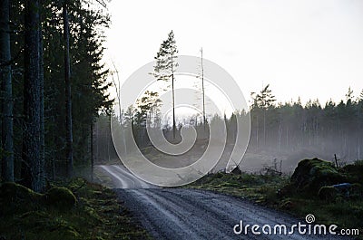 Gravel road by a misty evening Stock Photo